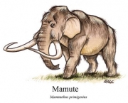 Mamute 7