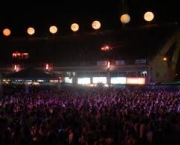 manaus-folia-13