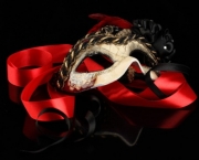 Mascara para Festa (10).jpg