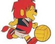 mascote-da-copa-3