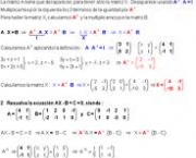 matrizes-inversas-10