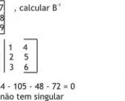 matrizes-inversas-15