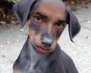 mau-uso-do-photoshop-6