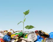 Meio Ambiente com Lixo (4)