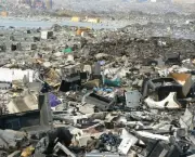 Meio Ambiente com Lixo (5)