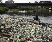 Meio Ambiente com Lixo (7)