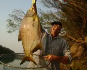 Melhores Lugares Para Pescar no Brasil (5)