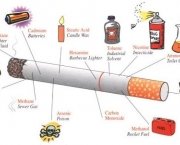 metodos-para-parar-de-fumar-terapias-naturais-e-dicas-4_0