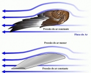 micro-aviao-bate-asas-12