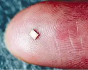 Microchip em Bebe na Europa (11)