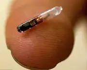 Microchip em Bebe na Europa (13)