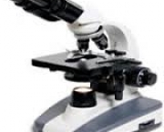 microscopio-composto-1