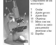 microscopio-composto-2