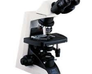 microscopio-composto-3