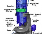 microscopio-eletronico-2