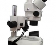 microscopio-estereo-3