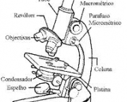 microscopio-otico-1