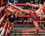 Muay Thai (3)