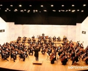 musica-erudita-12