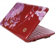 netbook-rosa-10