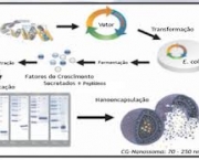 neuro-ativos-peptideos-1