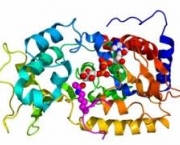 neuro-ativos-peptideos-5