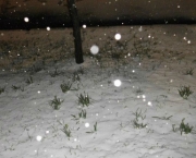 Neve no Brasil Saiba Mais Sobre o Fenomeno (6)