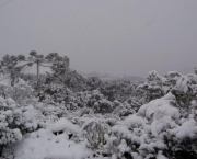 Neve no Brasil Saiba Mais Sobre o Fenomeno (10)