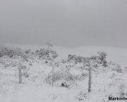 Neve no Brasil Saiba Mais Sobre o Fenomeno (11)