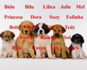 Nomes Para Cachorrinhos (11).jpg