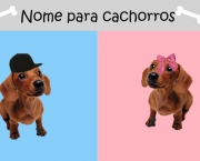 Nomes Para Cachorrinhos (18).jpg