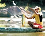 noticia-mais-recente-de-piracema-3