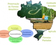 tecnologia-ajuda-na-defesa-meio-ambiente-8