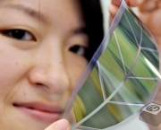 An employee of Japan's Advanced Industrial Science and Technology (AIST) introduces a prototype leaf-shaped "green color" organic solar cell with flexible modules at the Environment Fair on May 23, 2008. The green solar cell, recently developed by AIST, Tokki Corporation and Mitsubishi Corporation, was made to lap two organic matters, yellow color "fullerene" and blue colar "phthalocyanine".       AFP PHOTO/Toru YAMANAKA