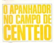 o-apanhador-no-campo-de-centeio-2