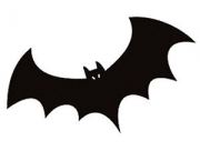 o-mundo-dos-morcegos-1