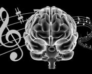 O Poder da Musica Sobre a Mente Humana (9)