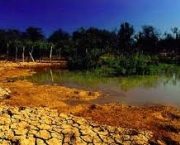 o-que-e-fundo-da-caatinga-6