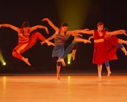 O que é Gymnaestrada (8)