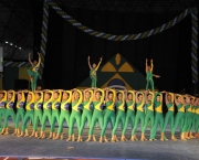 O que é Gymnaestrada (10)