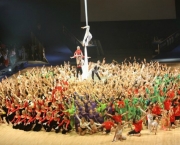 O que é Gymnaestrada (16)