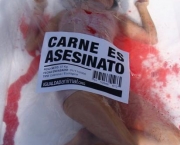 o-que-e-veganismo-1