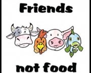 o-que-e-veganismo-6