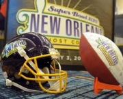 o-super-bowl-estados-unidos-6