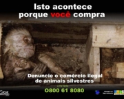 o-trafico-de-animais-1