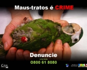 o-trafico-de-animais-3