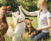 Ofereça o Serviço de Cuidador de Animais (1)