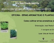 onde-comprar-ervas-plantas-medicinais-12