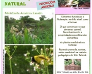 onde-comprar-ervas-plantas-medicinais-15