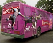 onibus-pet.jpg